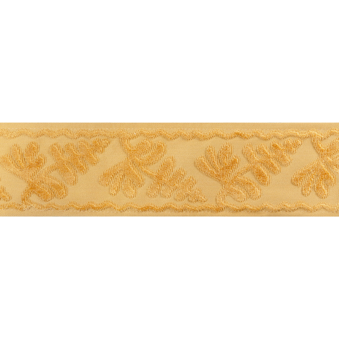 Cassis Tape - Gold T8024101.4.0 by Brunschwig & Fils Designer Trim