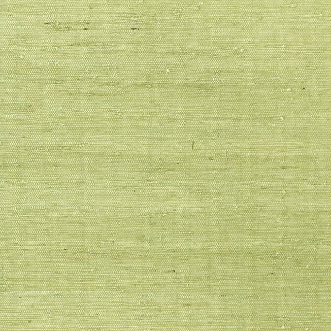 Maranta Arrowroot Green T85012 by Thibaut Wallpaper Thibaut Wallpaper Maranta Arrowroot Green T85012Wallpaper Greenwood Grasscloth Wallpaper KOREA </p><p>Repeat: V: - 36 - Fabric Carolina -