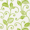 WATERBURY TRAIL Green T9267 by Thibaut Designer Wallpaper