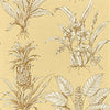 TROPICAL TOILE Beige on Beige T9802 by Thibaut Designer Wallpaper