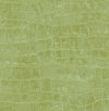 Curacao Apple Green TA20504 by Seabrook Designs Designer Wallpaper