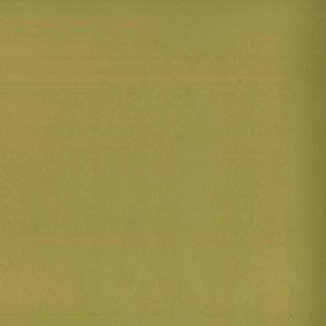 Tally Citron 54 by Norbar Designer Fabric ENVICTA 100% POLYURETHANE CHINA 54 - Swanky Fabrics -