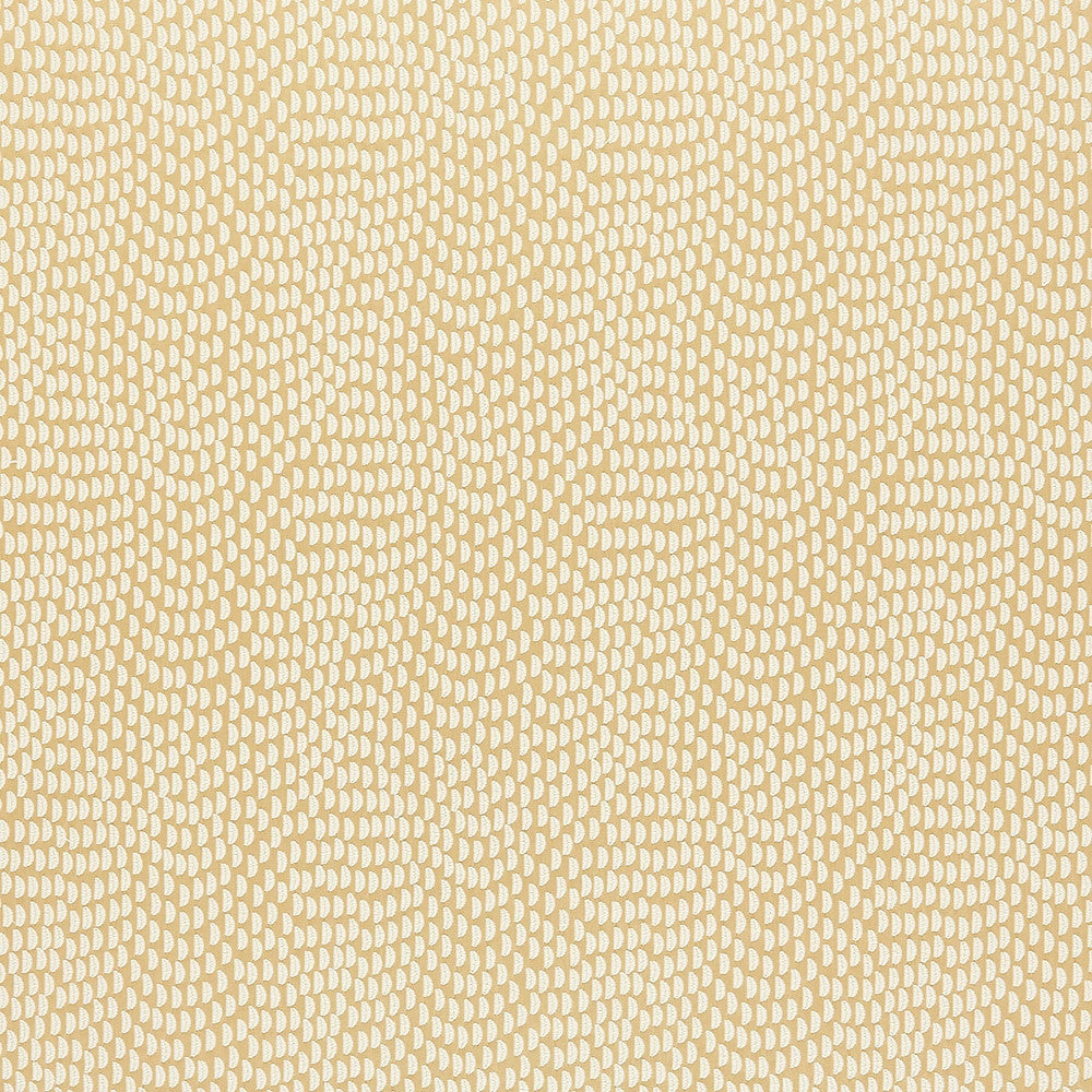 Tamarac 5 Chardonnay by Marcus William Designer Fabric KAI/MARCUS WILLIAM ARAVALLI 90%POL 10%COT INDIA MARTINDALE WEAR TEST (50 000 CIRCULAR RUBS) Horizontal: 6.5 and Vertical: 6.625 54 in - Swanky Fabrics -