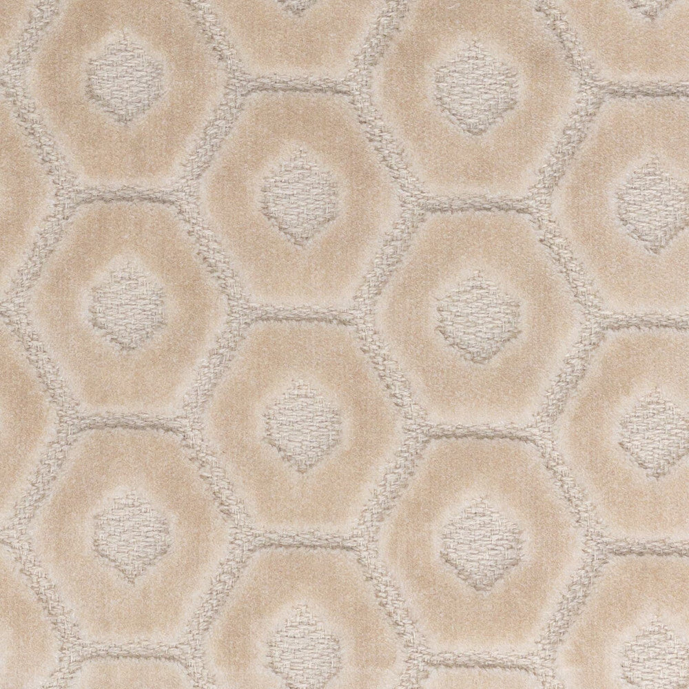 Tambourine 5 Cream by Stout Fabric Stout Fabric Tambourine 5 CreamFabric PILED HIGH VELVETS INDIA </p><p>Repeat: H: 2.500, V: 1.750 56 in - Fabric Carolina -
