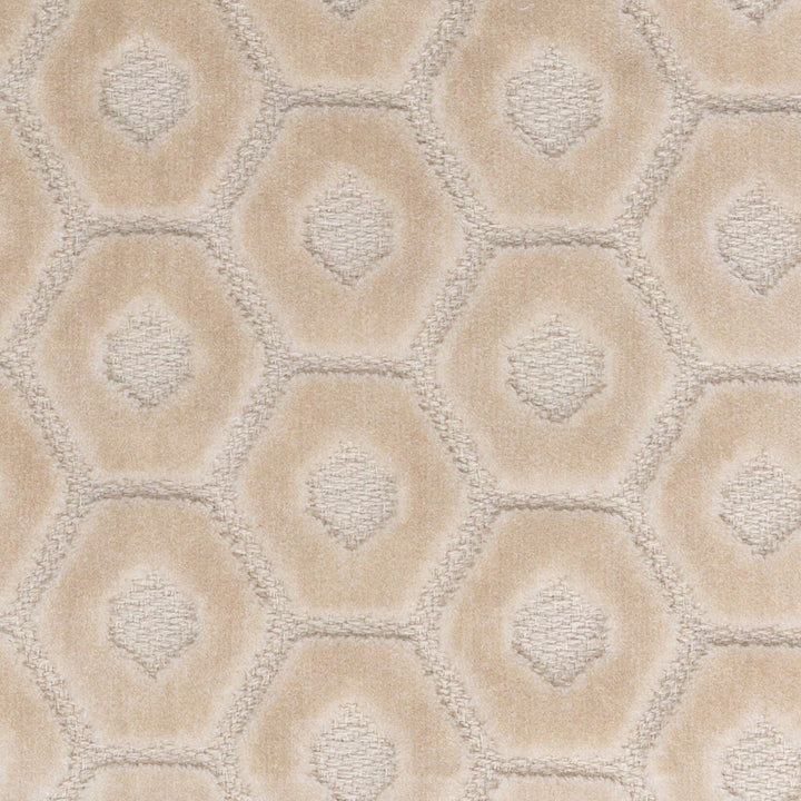Tambourine 5 Cream by Stout Fabric Stout Fabric Tambourine 5 CreamFabric PILED HIGH VELVETS INDIA </p><p>Repeat: H: 2.500, V: 1.750 56 in - Fabric Carolina -