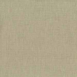 Tangier Chino by Norbar Designer Fabric 80% POLYESTER 20% RAYON INDIA 54" - Swanky Fabrics -