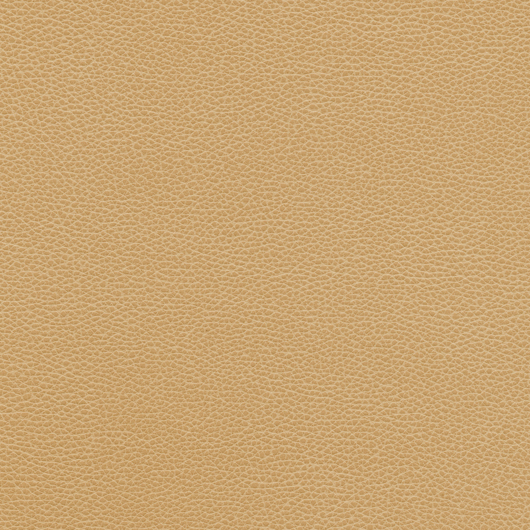 Kravet Design - Tannin-16 TANNIN.16.0 by Kravet Design Designer Fabric