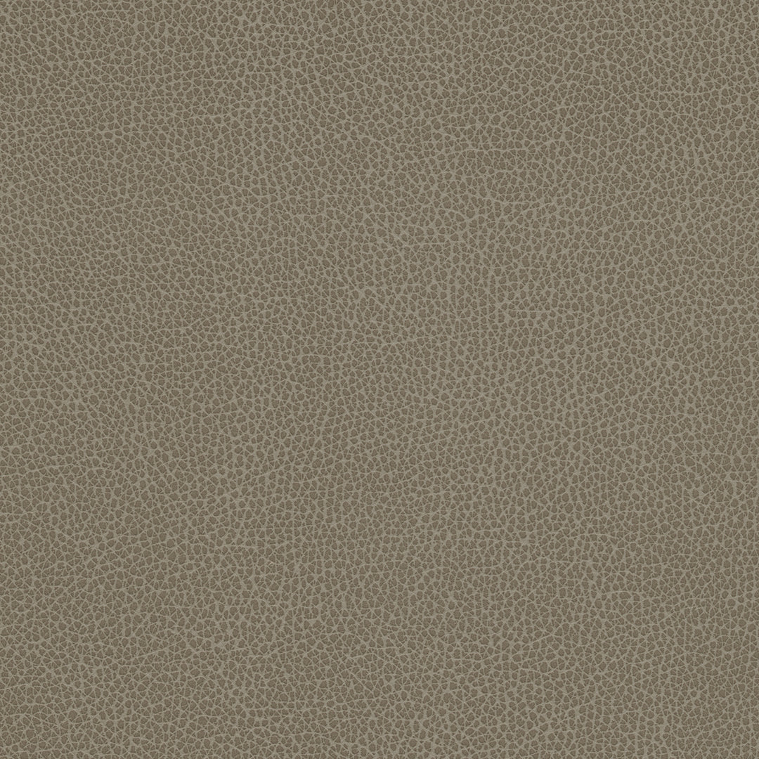 Kravet Design - Tannin-21 TANNIN.21.0 by Kravet Design Designer Fabric