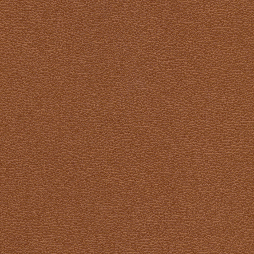 Kravet Design - Tannin-6 TANNIN.6.0 by Kravet Design Designer Fabric