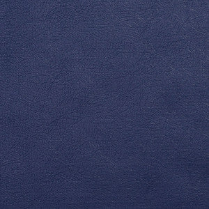 TD-Navy Navy by Charlotte Designer Fabric