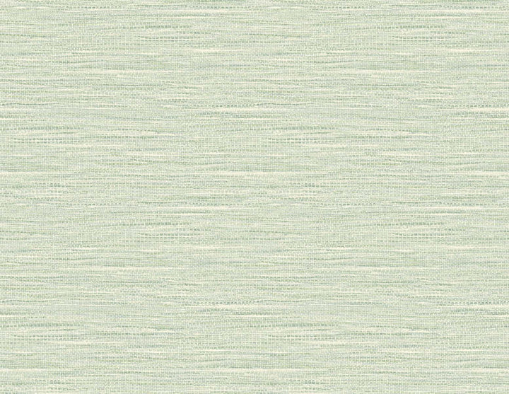 Braided Faux Jute Airy Forest TG60408 by DuPont Designer Wallpaper