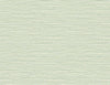 Braided Faux Jute Airy Forest TG60408 by DuPont Designer Wallpaper