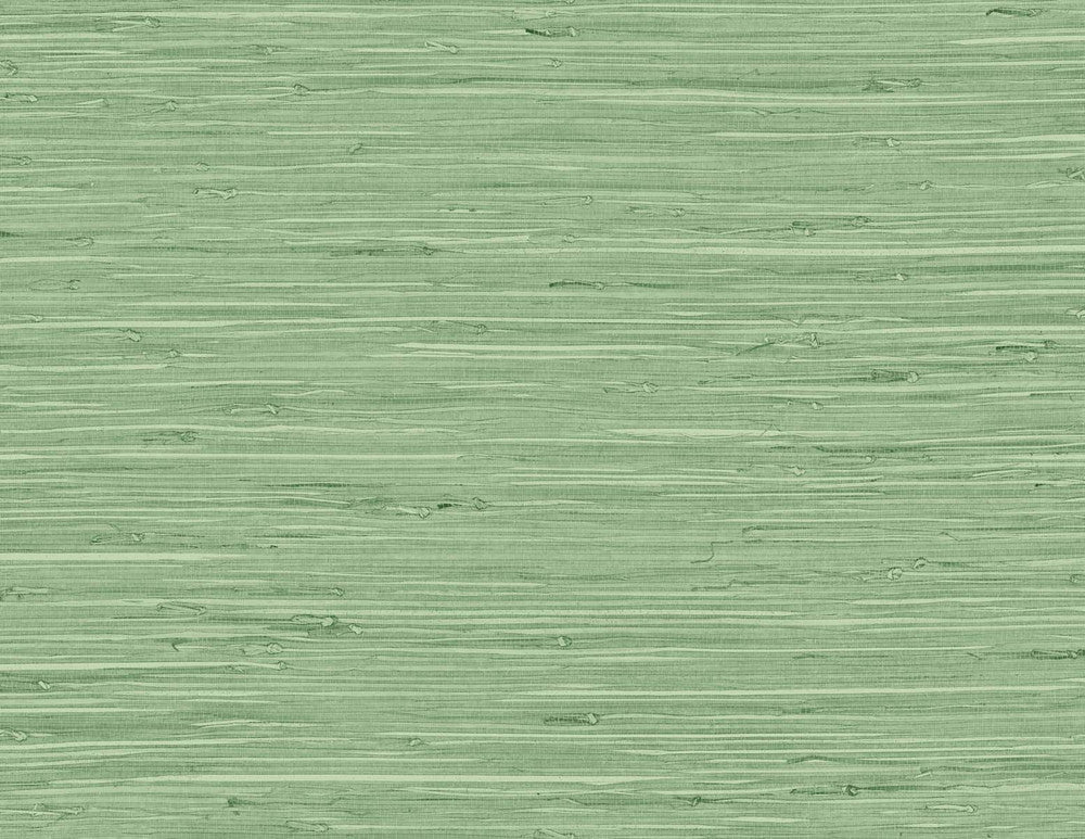 Marion Faux Arrowroot Spring Forest TG60534 by DuPont Designer Wallpaper
