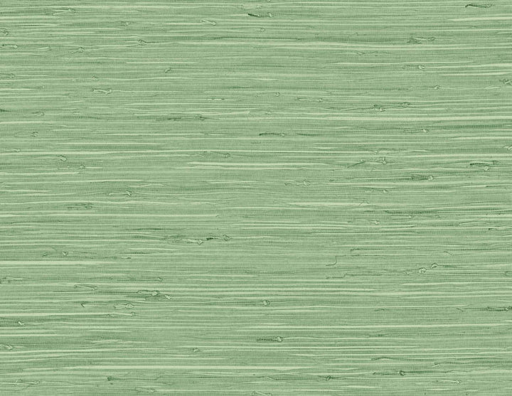 Marion Faux Arrowroot Spring Forest TG60534 by DuPont Designer Wallpaper