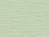 Marion Faux Arrowroot Frosted Grass TG60535 by DuPont Designer Wallpaper