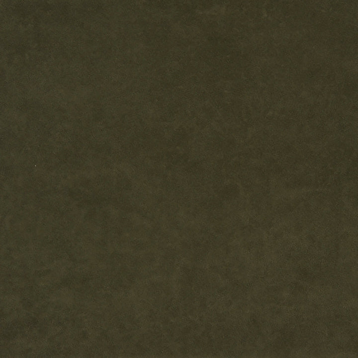 Thornhill 76J7031 by JF Crypton Designer Fabric Crypton Binder 100% Polyester United States 50000 Horizontal: and Vertical: 54 - Swanky Fabrics -