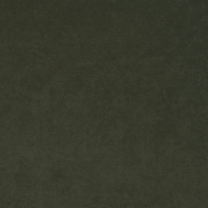 Thornhill 78J7031 by JF Crypton Designer Fabric Crypton Binder 100% Polyester United States 50000 Horizontal: and Vertical: 54 - Swanky Fabrics -