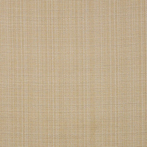 Ta-Da # 301 Desert by Maxwell Designer Fabric