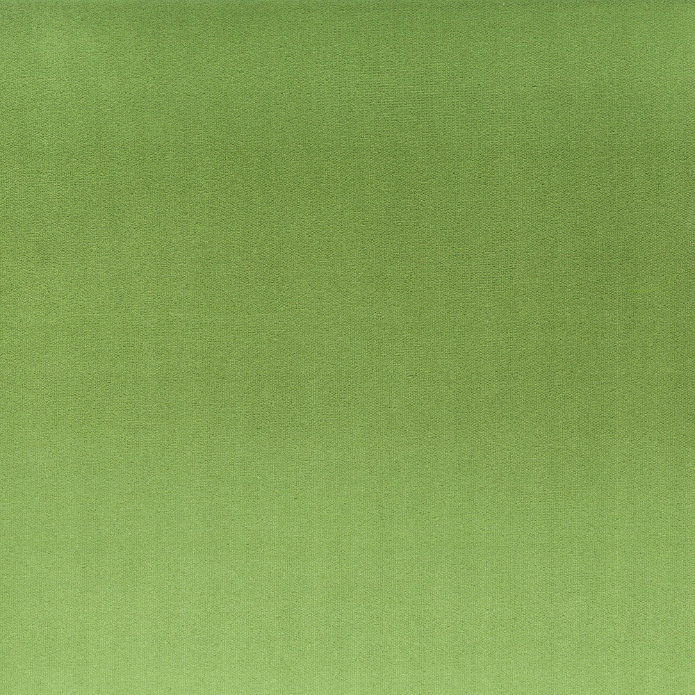 Tinker 2 Basil by Stout Fabric Stout Fabric Tinker 2 BasilFabric RAINBOW LIBRARY SPRING/EVERGREEN 100%POL INDONESIA </p><p>Repeat: H: 0.000, V: 0.000 54 in - Fabric Carolina -