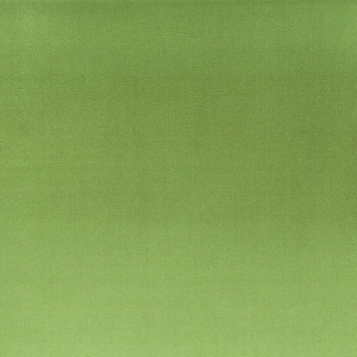 Tinker 2 Basil by Stout Designer Fabric RAINBOW LIBRARY SPRING/EVERGREEN 100%POL INDONESIA FLAME RETARDANT-N.F.P.A. 260A CLASS 1 CATB 117-2013 WYZENBEEK 100 000 DOUBLE RUB WEAR TEST (HEAVY DUTY) Horizontal: 0 and Vertical: 0 54 in - Swanky Fabrics -