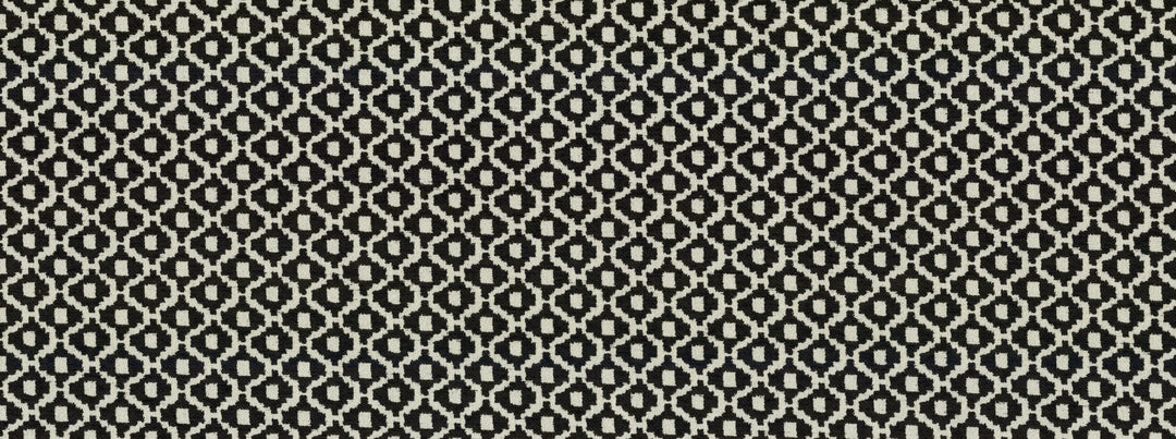Tinker 916 Ebony/Ivory by Covington Designer Fabric