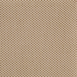 Titan 31J4691 by JF Sunbrella Designer Fabric