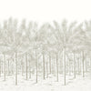 Palm Grove Mural - 5 Panel Full Set Beige TM13948 by Thibaut Designer Wallpaper