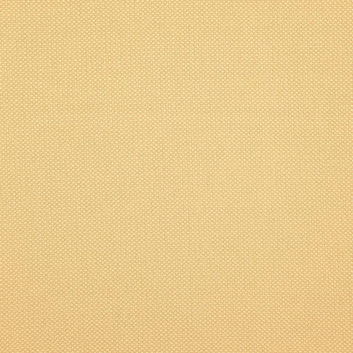Tesseract # 47 Hay by Maxwell Designer Fabric Weave Works Iv 100% POLYESTER CHINA 59" - Swanky Fabrics -