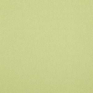 Tesseract # 49 Oasis by Maxwell Designer Fabric