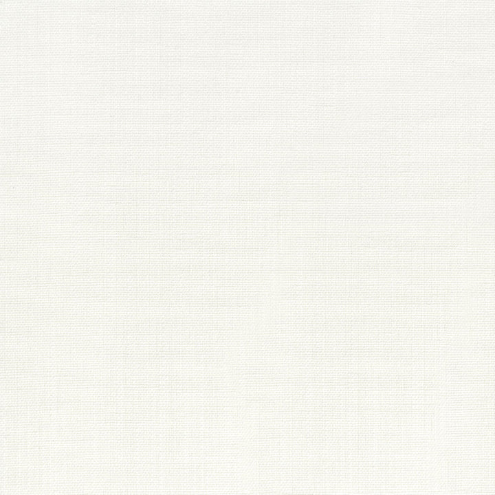 Tobago 2 Salt by Stout Designer Fabric COLOR MY WINDOW PEARL/DRIFTWOOD 100%POL INDIA MARTINDALE WEAR TEST (5 000 CIRCULAR RUBS) Horizontal: 0.000 and Vertical: 0.000 55 in - Swanky Fabrics -