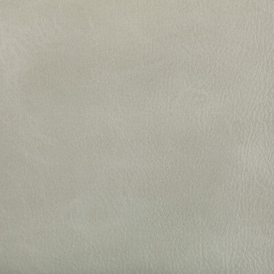 Kravet Contract - Upholstery - TONI.101.0 - Upholstery - POLYURETHANE - 100% - China </p><p>Repeat: H: , V: 27.5 21 - My Fabric Connection -