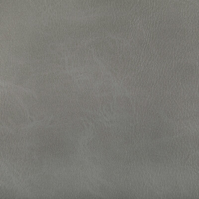Kravet Contract - Upholstery - TONI.11.0 - Upholstery - POLYURETHANE - 100% - China </p><p>Repeat: H: , V: 27.5 21 - My Fabric Connection -