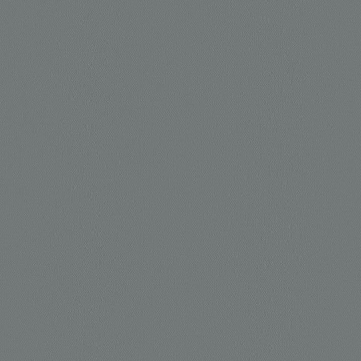 Topgun 1s 4067 Sea Gull Gray by Topgun Designer Fabric N/A 100% Polyester China 15,000 Double Rubs </p><p>Repeat: Horizontal: and Vertical: 60" (152cm) - Swanky Fabrics -