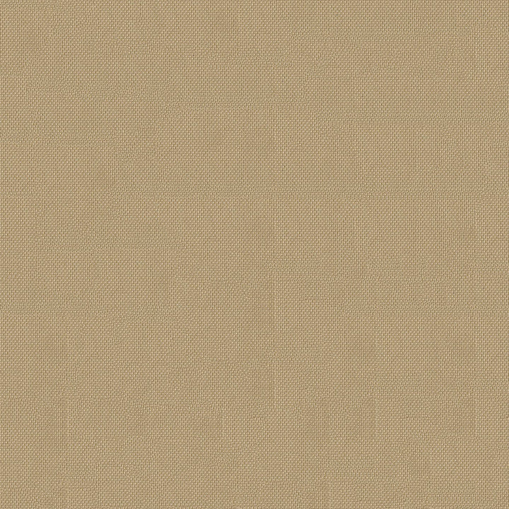 Top Notch1s 615 Cappuccino by Top Notch Designer Fabric N/A 100% Solution Dyed Polyester China 15,000 Double Rubs </p><p>Repeat: Horizontal: and Vertical: 60" (152cm) - Swanky Fabrics -