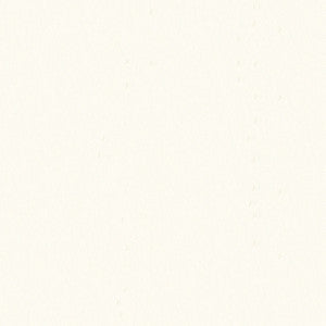 Top Notch FR 1087 White by Top Notch Designer Fabric