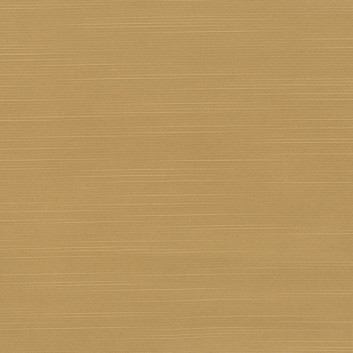 Toulouse 2 Toffee by Stout Designer Fabric Beautiful Accents 100% Polyester INDIA WYZENBEEK 20 000 DOUBLE RUB WEAR TEST (HEAVY DUTY) Horizontal: 0 and Vertical: 0 54 in - Swanky Fabrics -