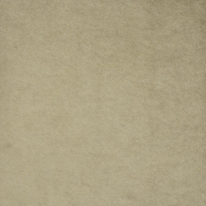 Theda # 706 Lion by Maxwell Designer Fabric Velvet Room 87% POLYESTER/13% LINEN TURKEY 54" - Swanky Fabrics -