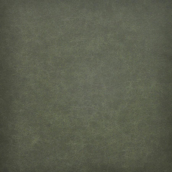 Taro # 201 Evergreen by Maxwell Designer Fabric Easy Rider Vi 100% PVC TAIWAN 54" - Swanky Fabrics -