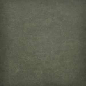 Taro # 201 Evergreen by Maxwell Designer Fabric