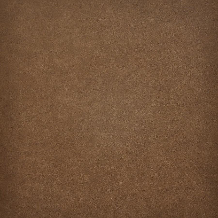 Taro # 205 Rum by Maxwell Designer Fabric Easy Rider Vi 100% PVC TAIWAN 54" - Swanky Fabrics -