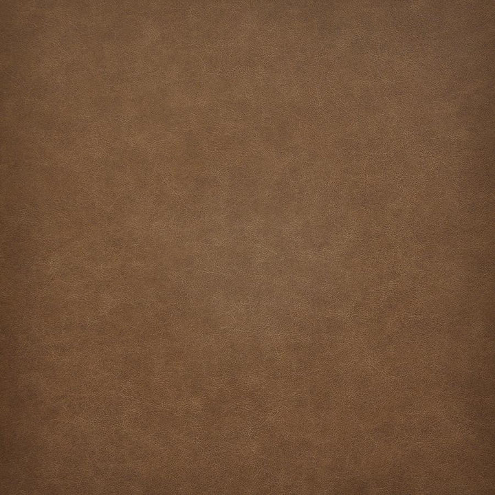 Taro # 205 Rum by Maxwell Designer Fabric Easy Rider Vi 100% PVC TAIWAN 54" - Swanky Fabrics -