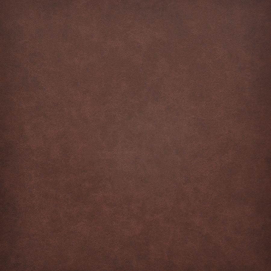 Taro # 207 Cheyenne by Maxwell Designer Fabric Easy Rider Vi 100% PVC TAIWAN 54" - Swanky Fabrics -