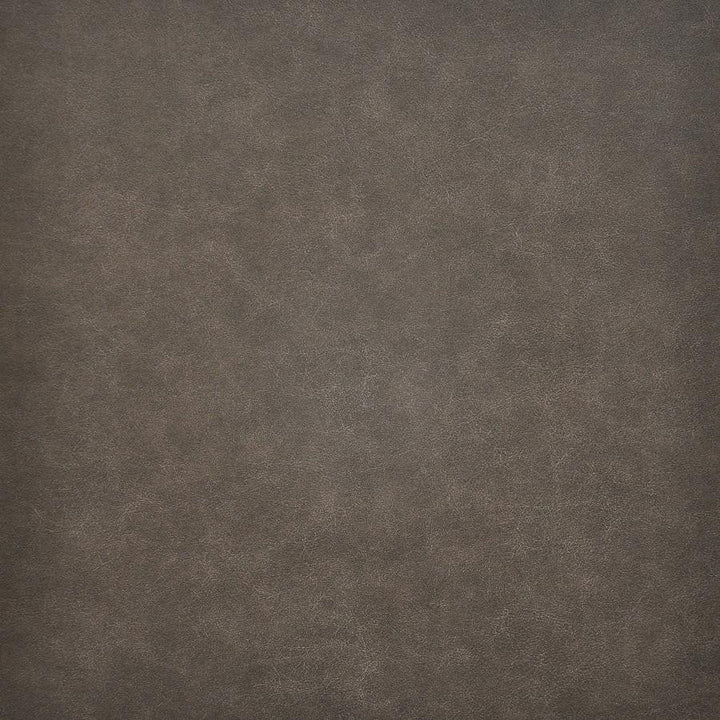Taro # 219 Shetland by Maxwell Designer Fabric Easy Rider Vi 100% PVC TAIWAN 54" - Swanky Fabrics -