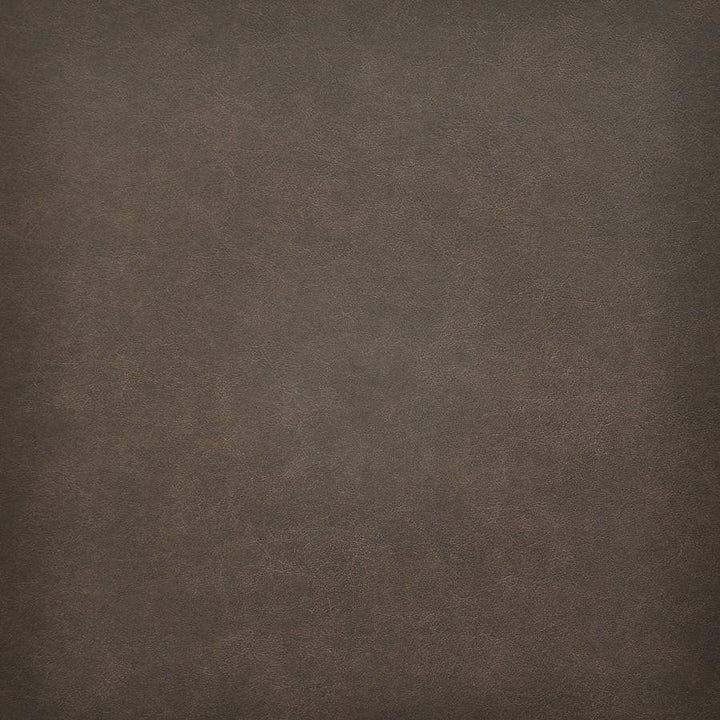 Taro # 220 Chestnut by Maxwell Designer Fabric Easy Rider Vi 100% PVC TAIWAN 54" - Swanky Fabrics -