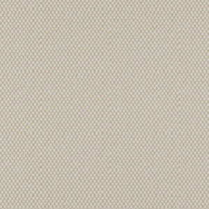 Take Off # 604 Sand by Maxwell Designer Fabric