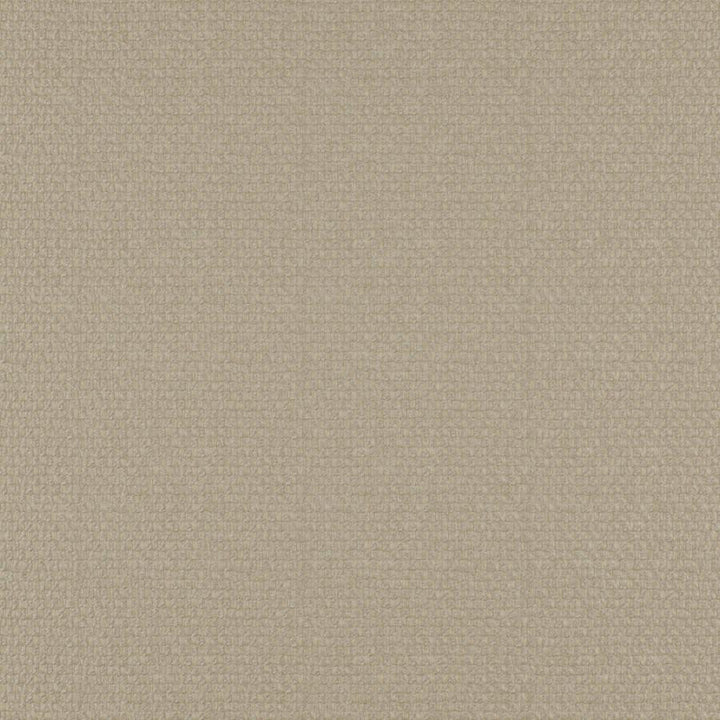 Take Off # 605 Cashew by Maxwell Designer Fabric 100% POLYESTER CHINA 56" - Swanky Fabrics -