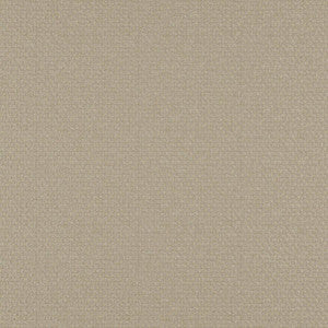 Take Off # 605 Cashew by Maxwell Designer Fabric