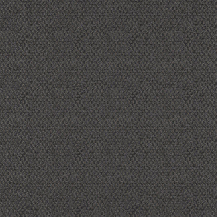Take Off # 608 Washed Black by Maxwell Designer Fabric 100% POLYESTER CHINA 56" - Swanky Fabrics -