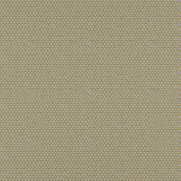Take Off # 613 Moss by Maxwell Designer Fabric 100% POLYESTER CHINA 56" - Swanky Fabrics -