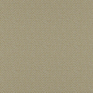 Take Off # 613 Moss by Maxwell Designer Fabric